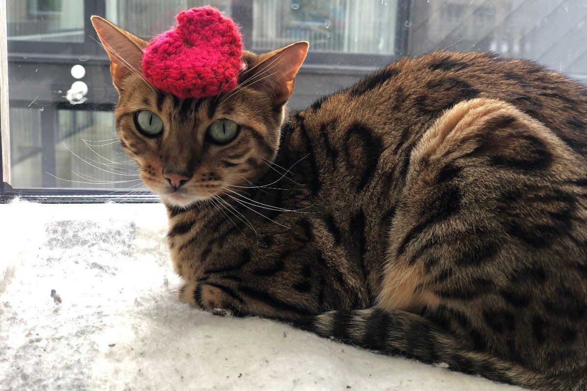 Winnie