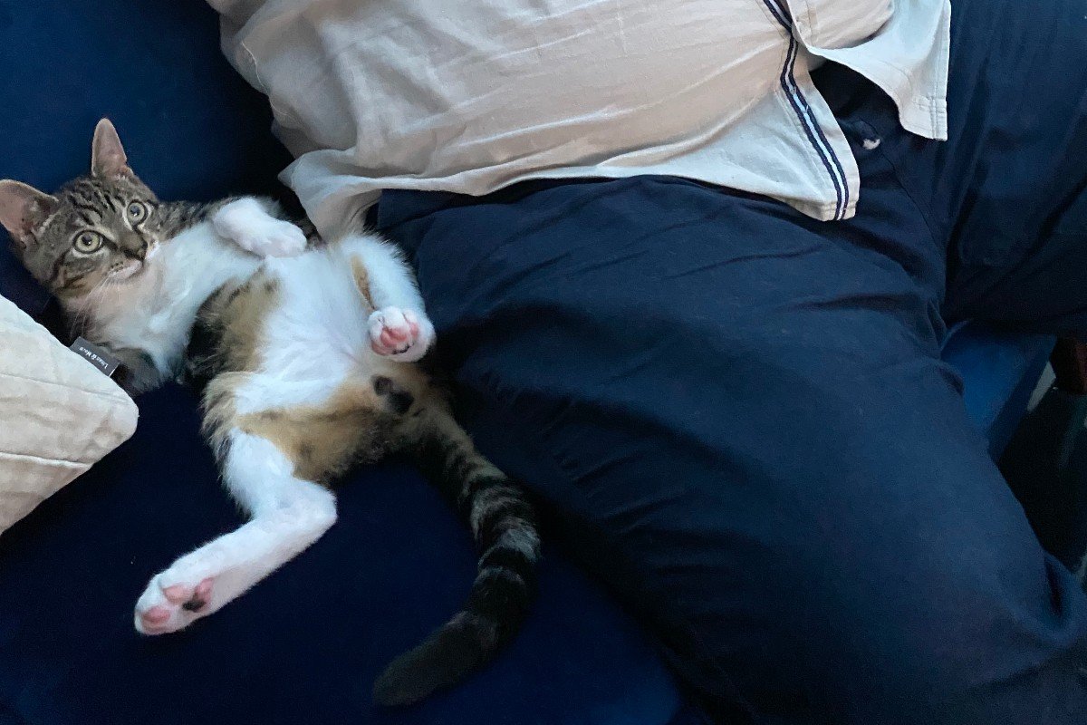 Simba