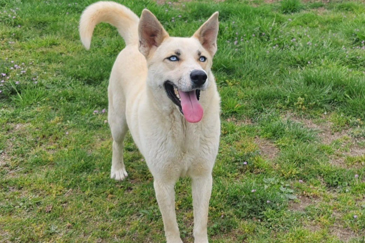 Max