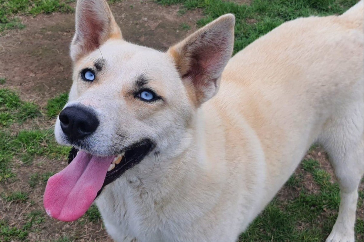 Max
