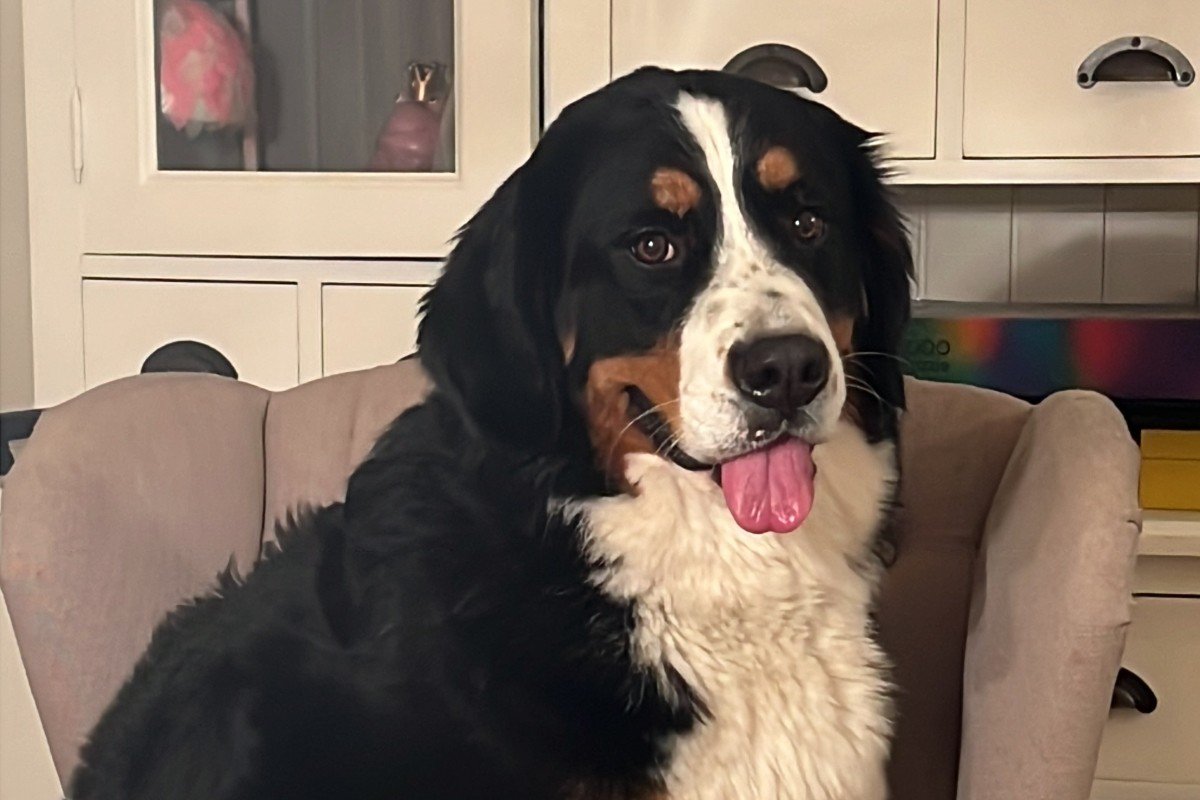Lieve