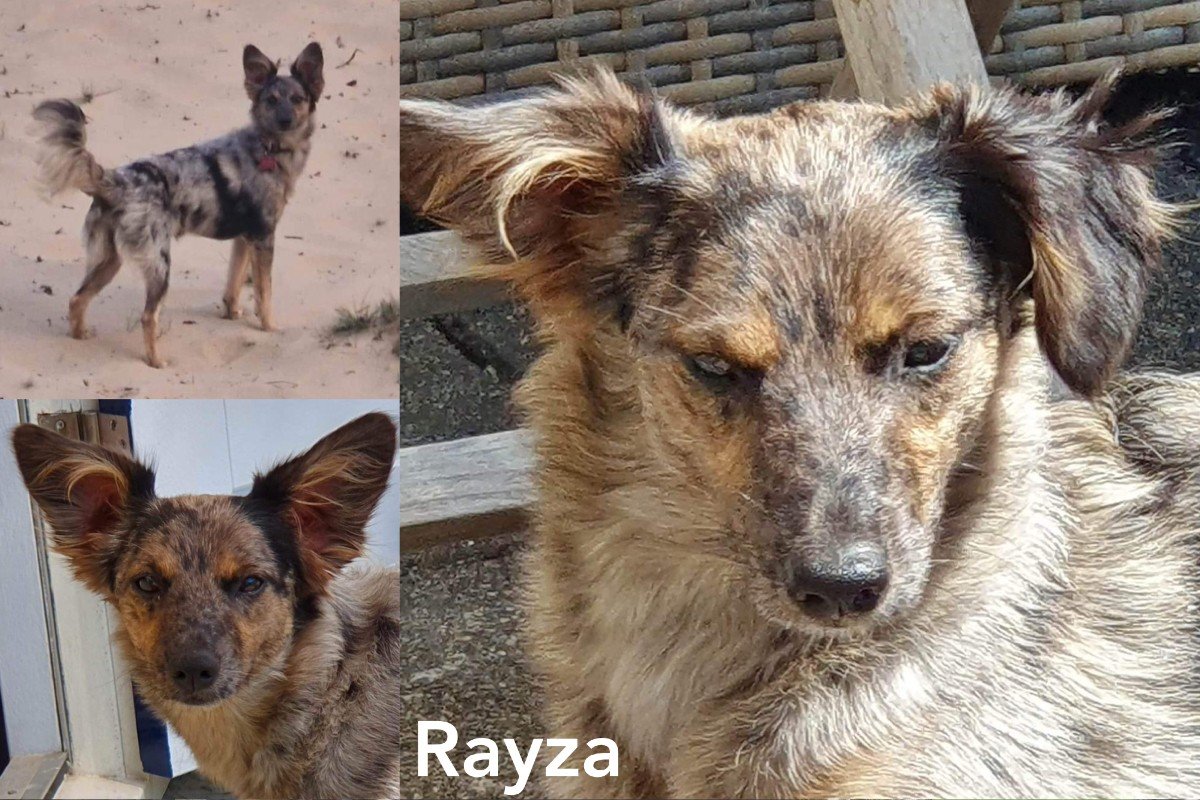 Rayza