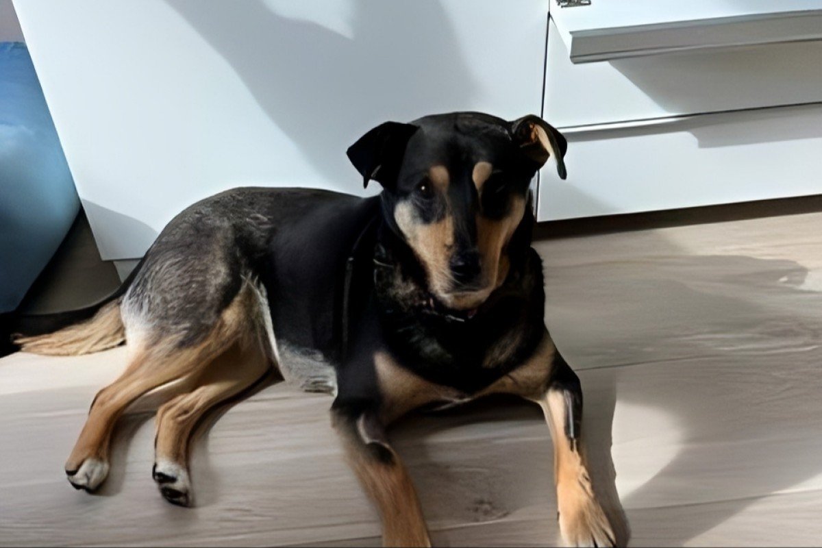 Frida