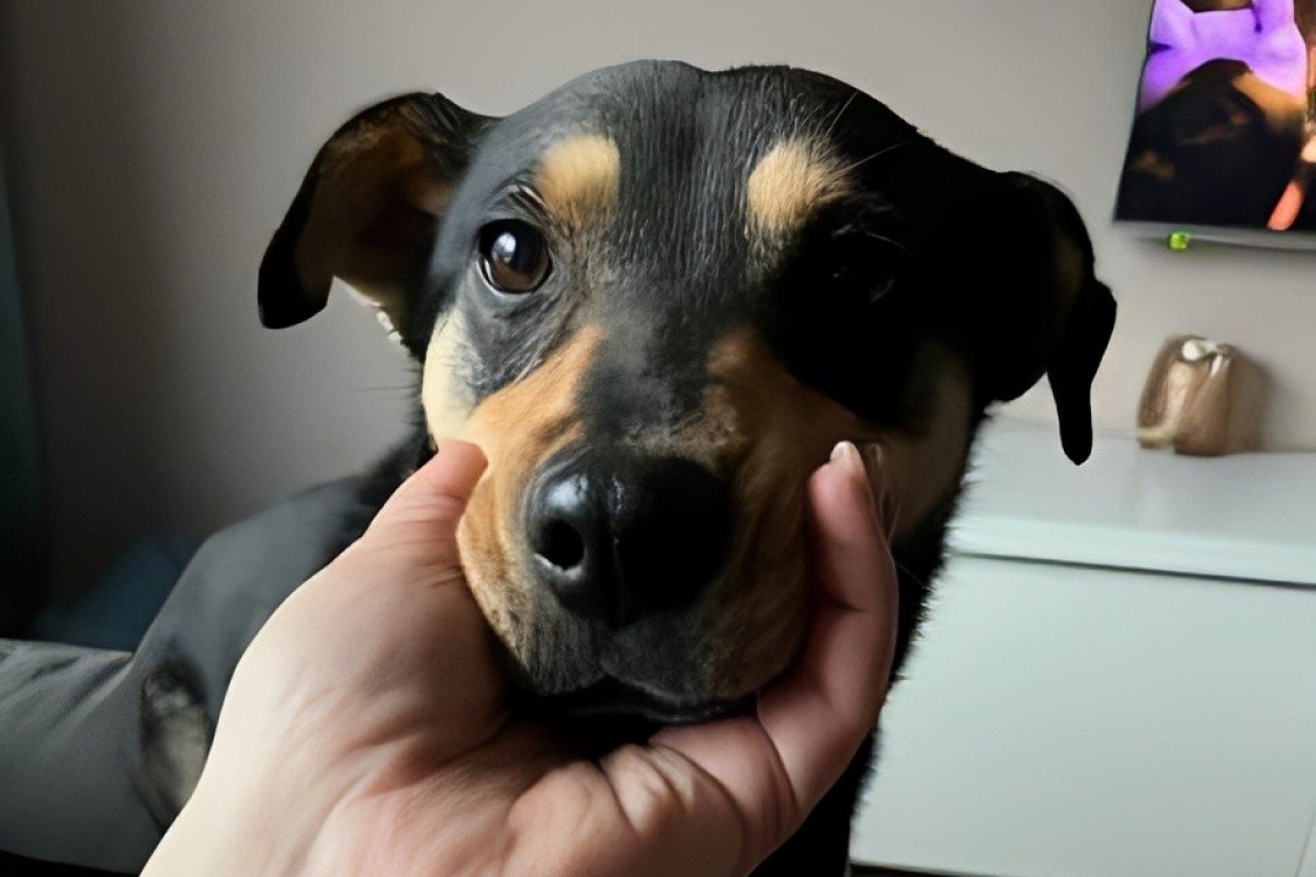 Frida