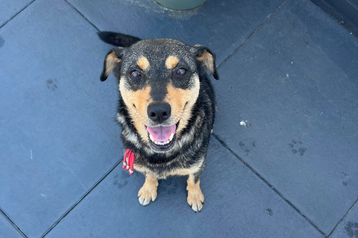 Frida