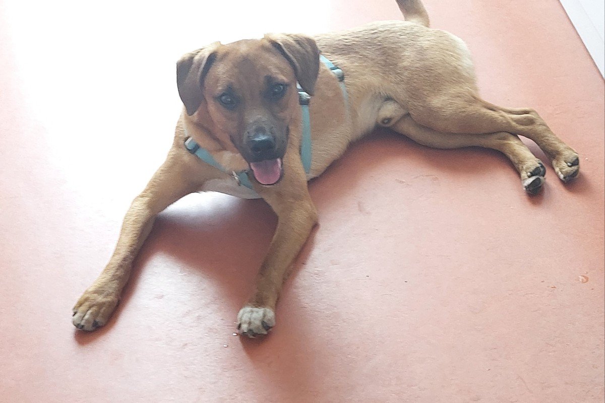 Max