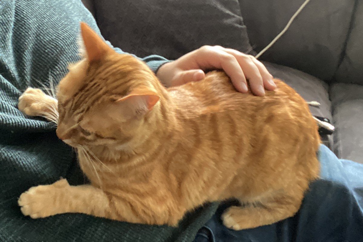 Garfield