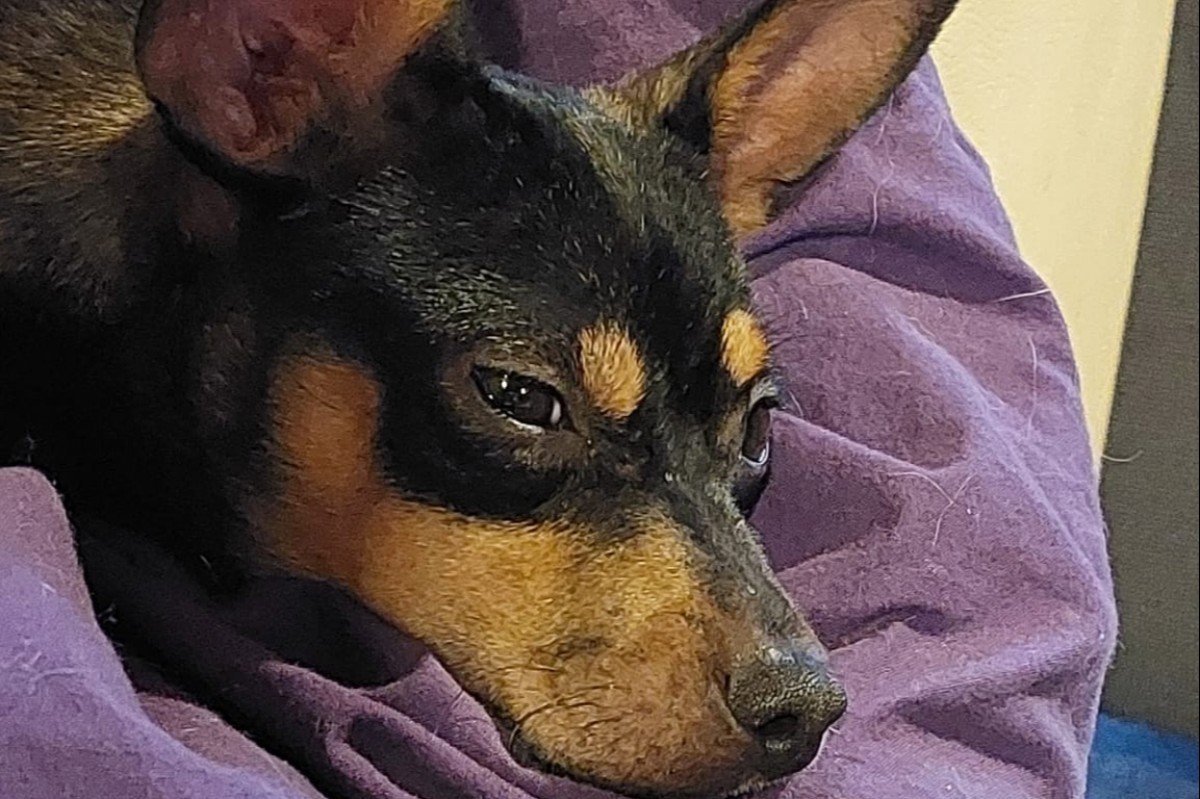 Zoë