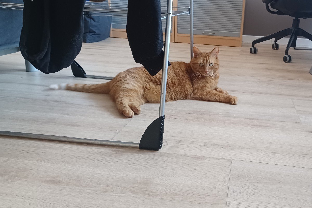 Simba