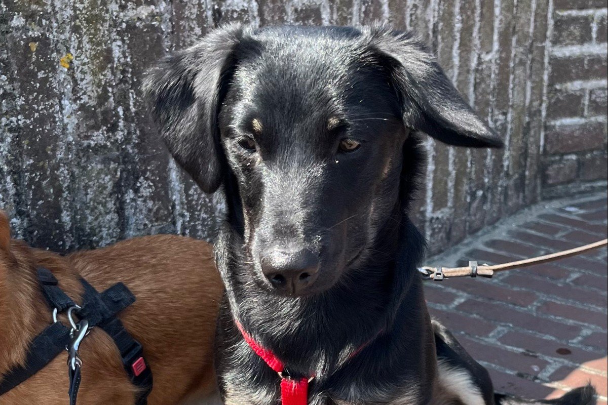 Ralu