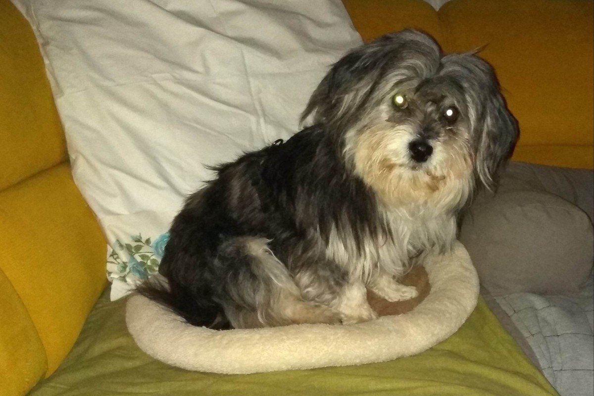 Chupka