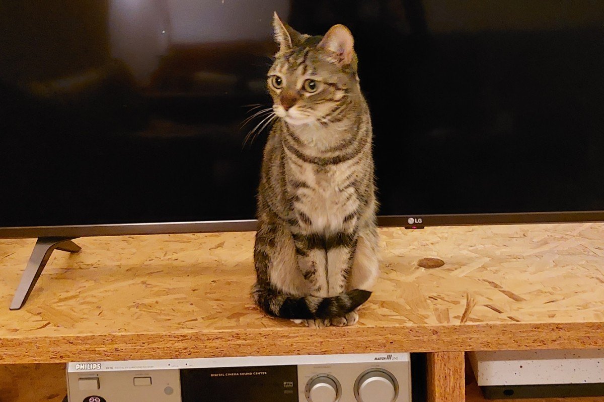 Tutti
