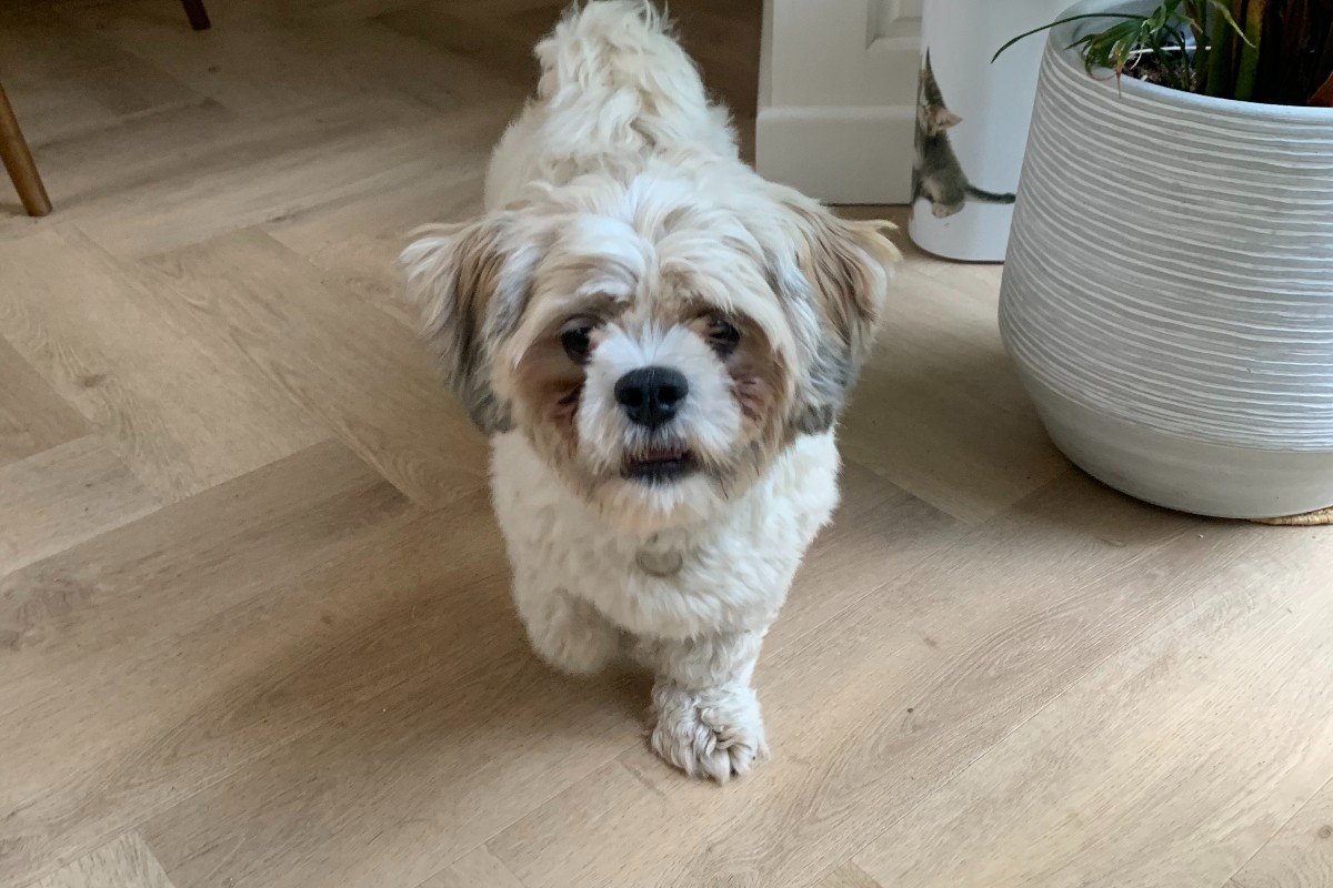 Max