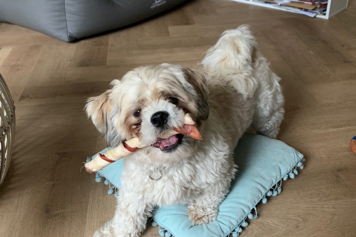 Max