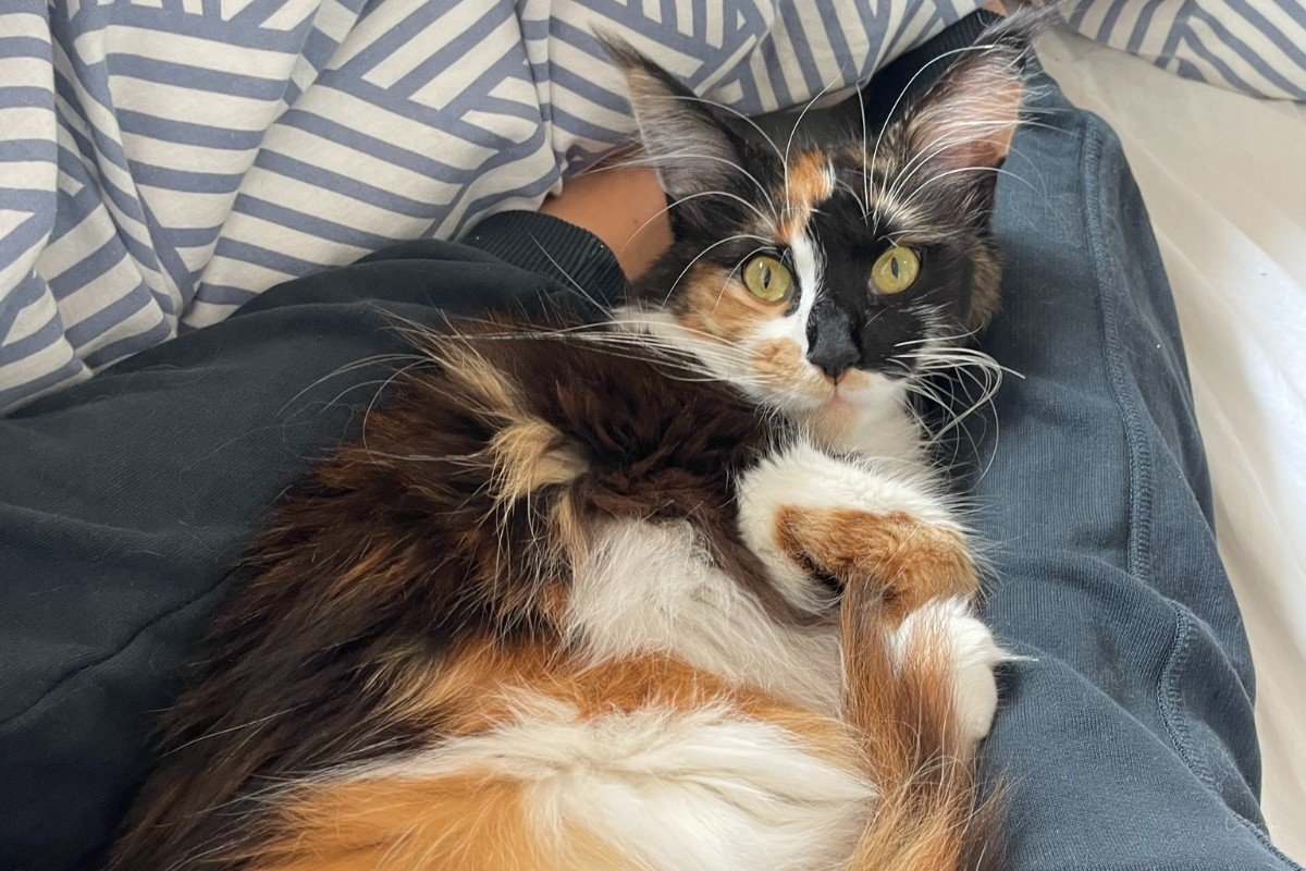 Lou