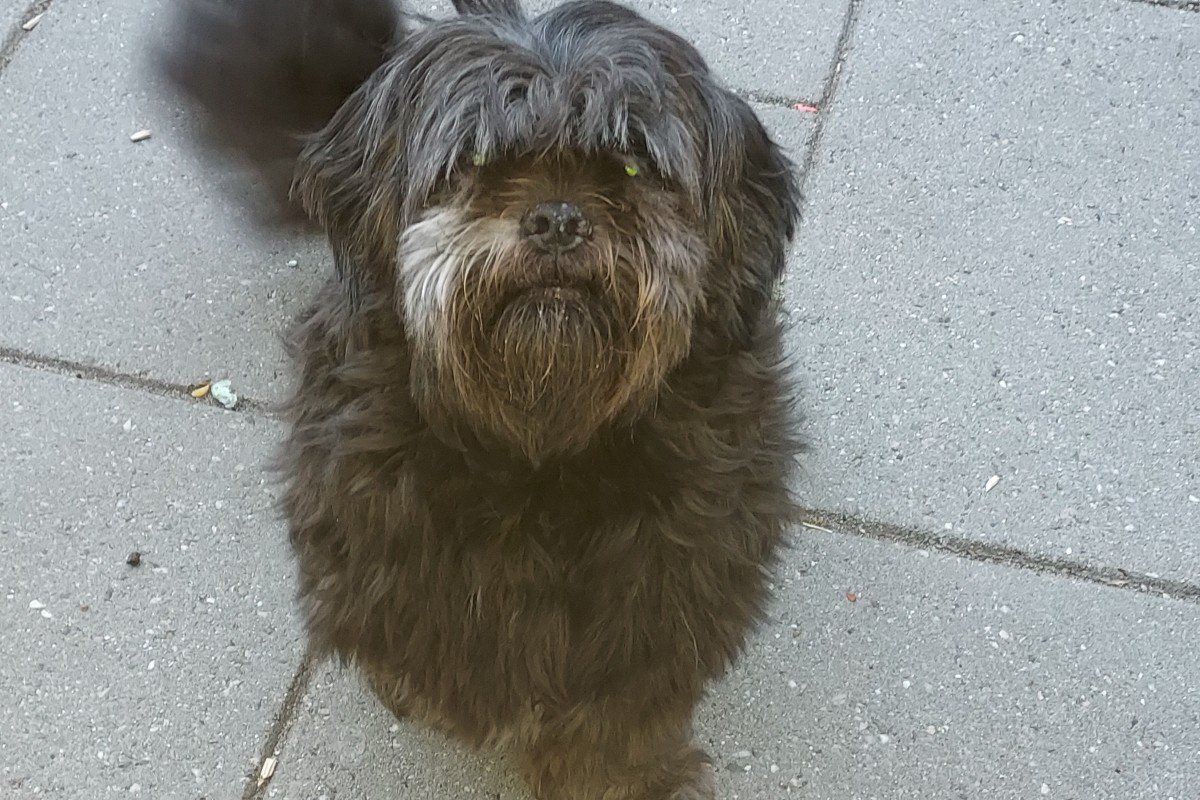 Coco