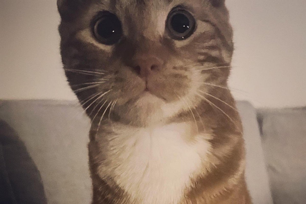 Sam