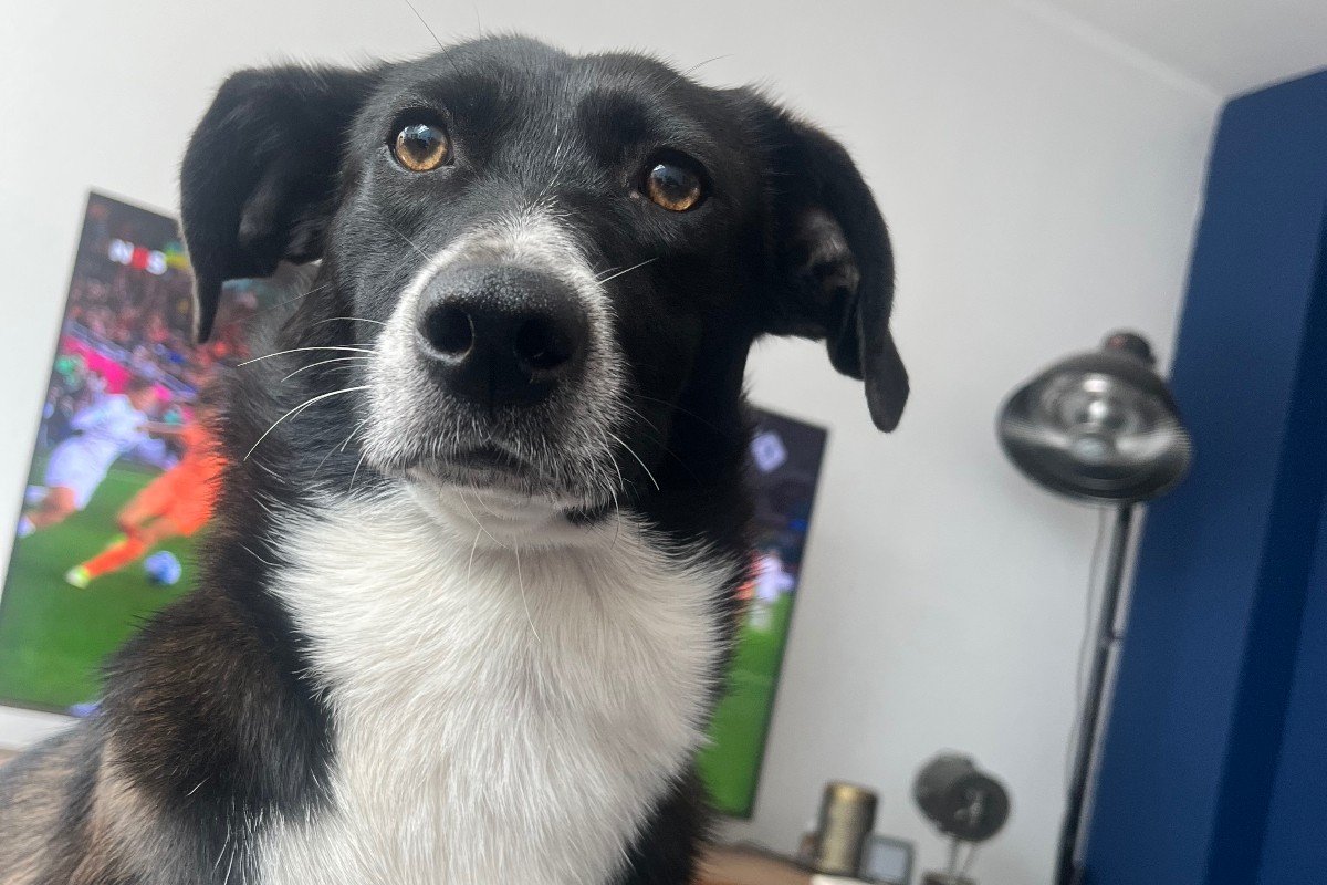 Darcy