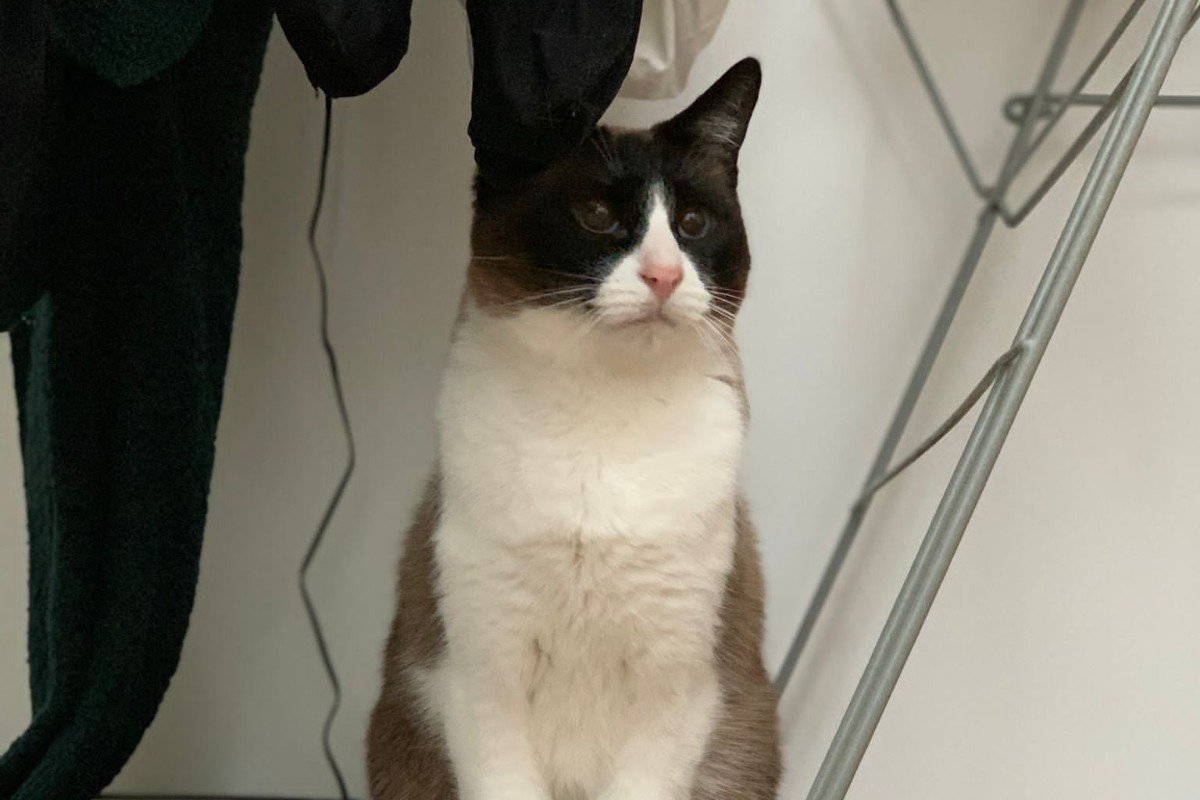 Max