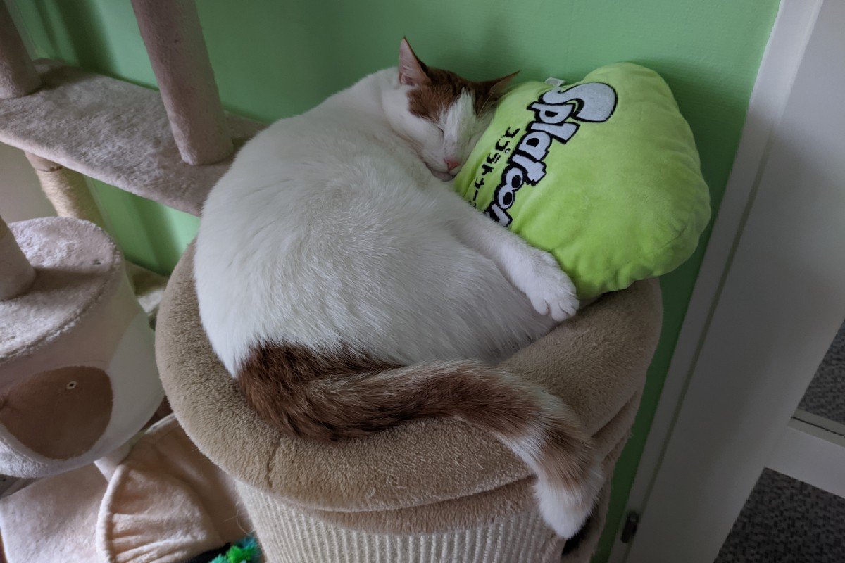 Mochi