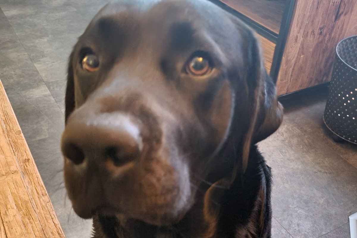 Sam