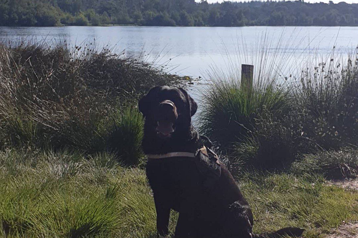 Sam