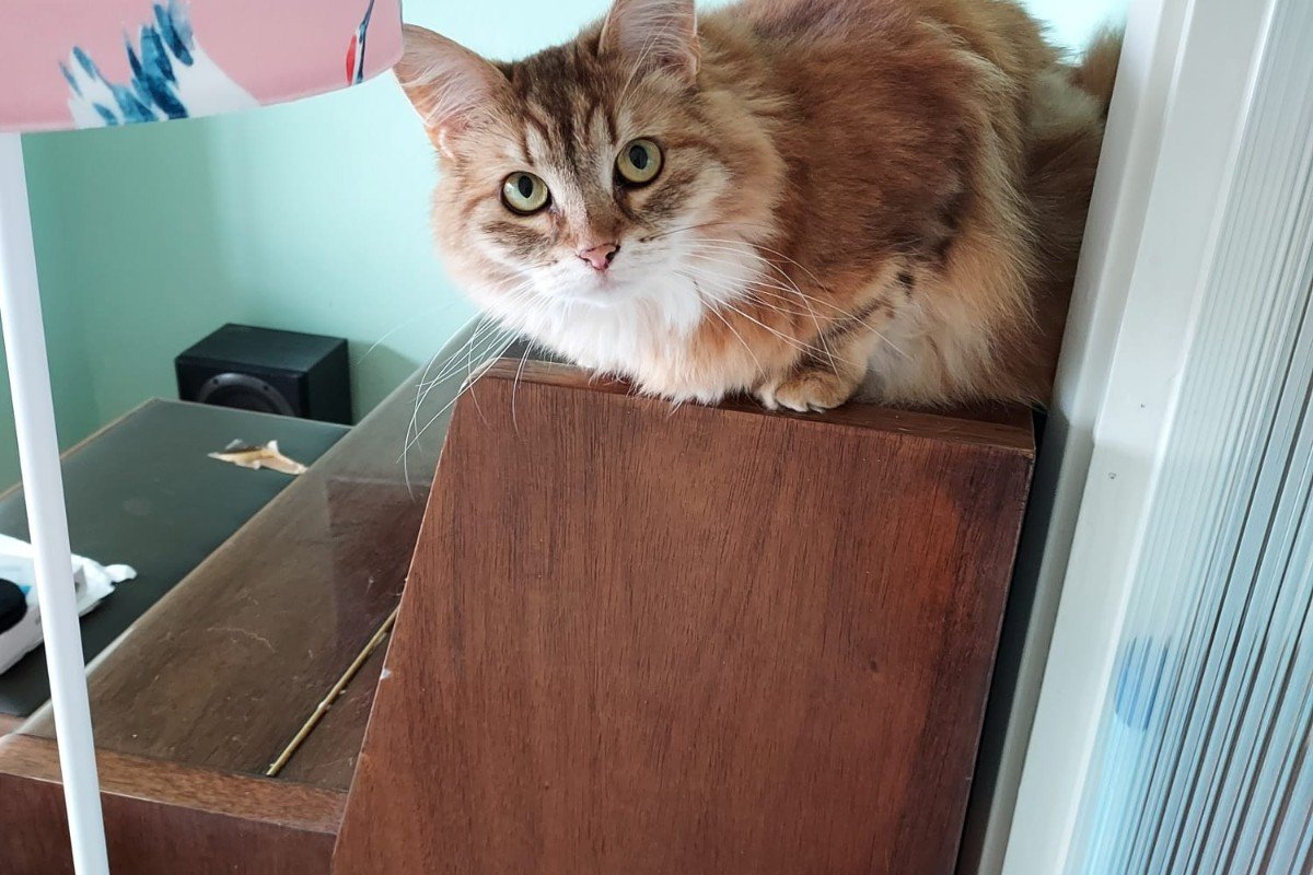 Molly