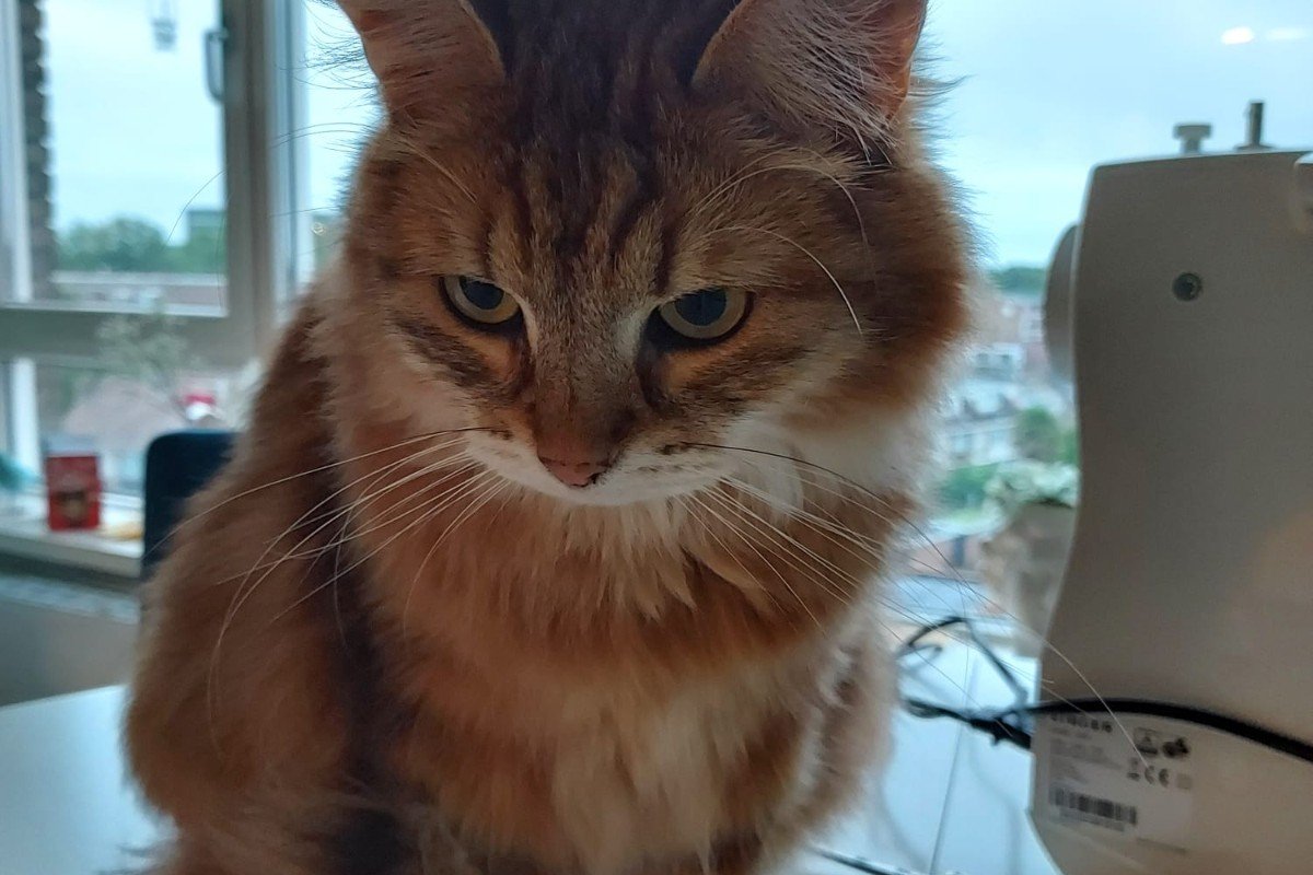 Molly