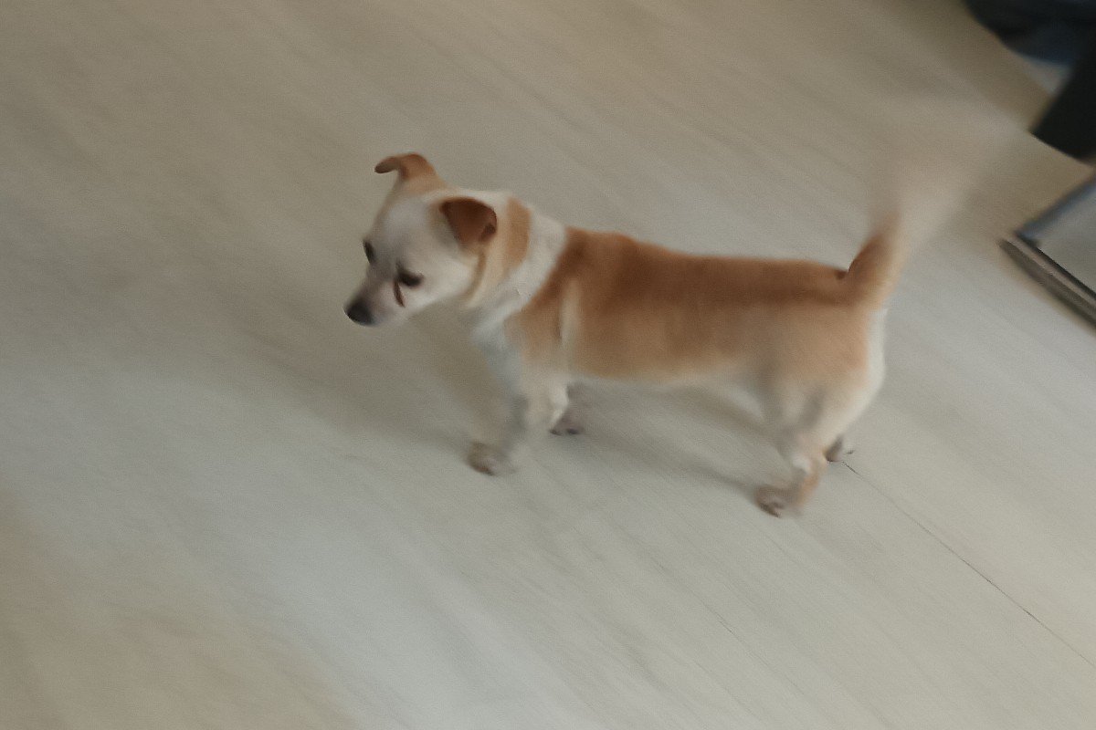 Fay