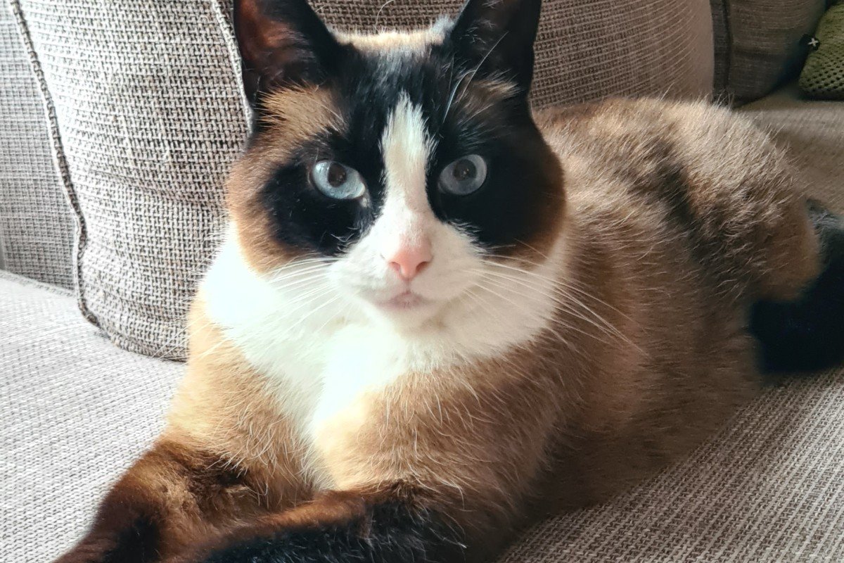 Bob