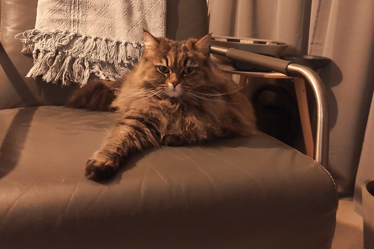 Luna