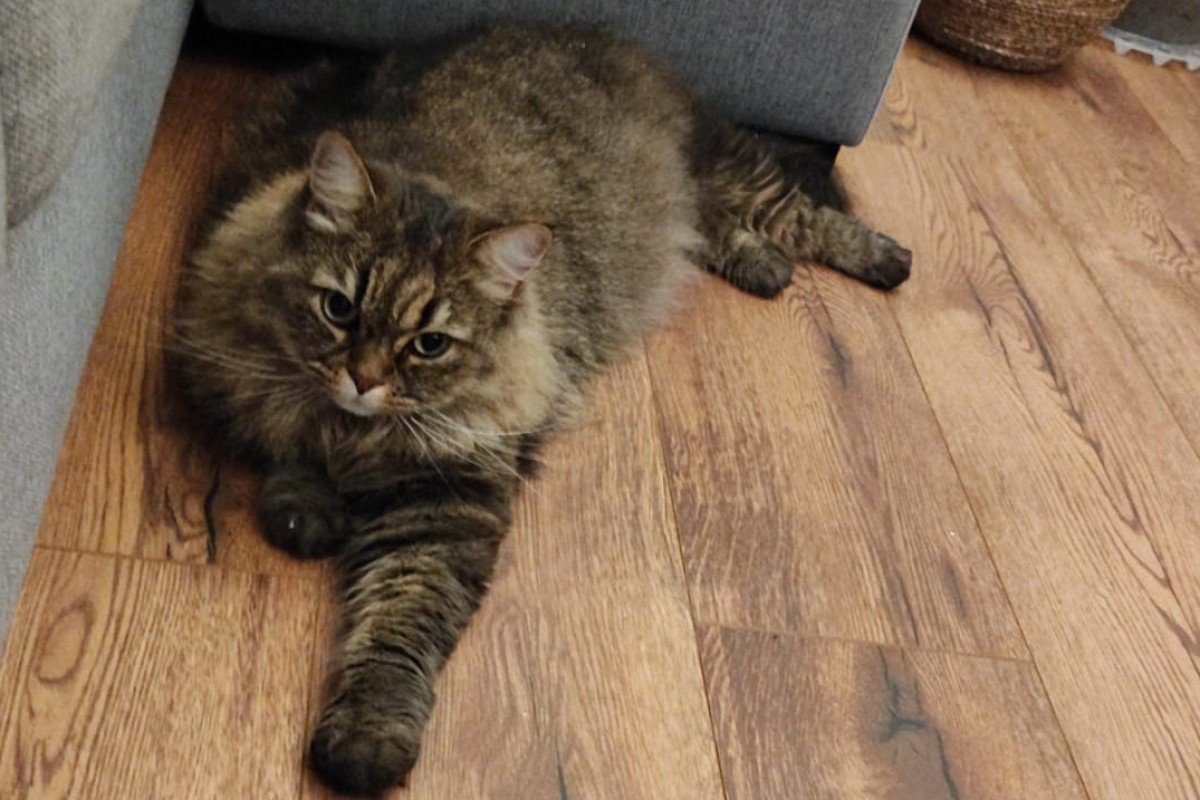 Luna