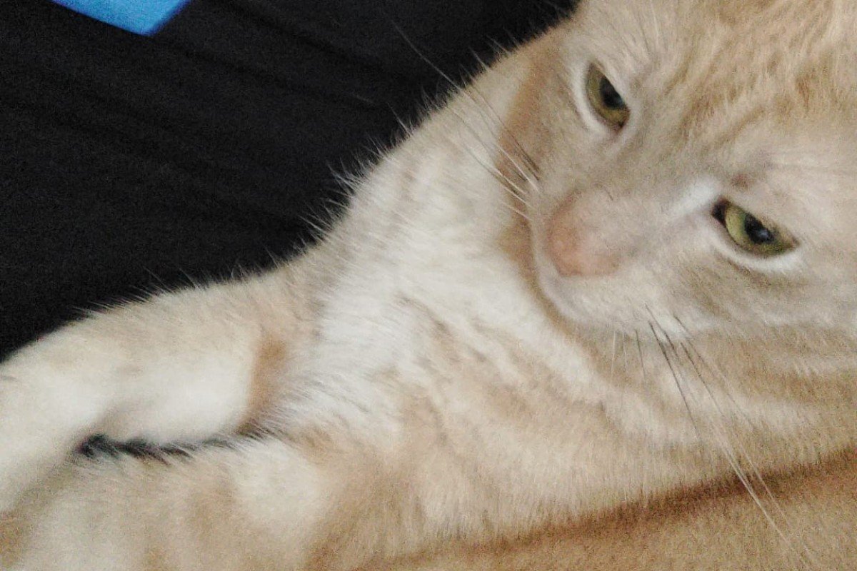 Rafael