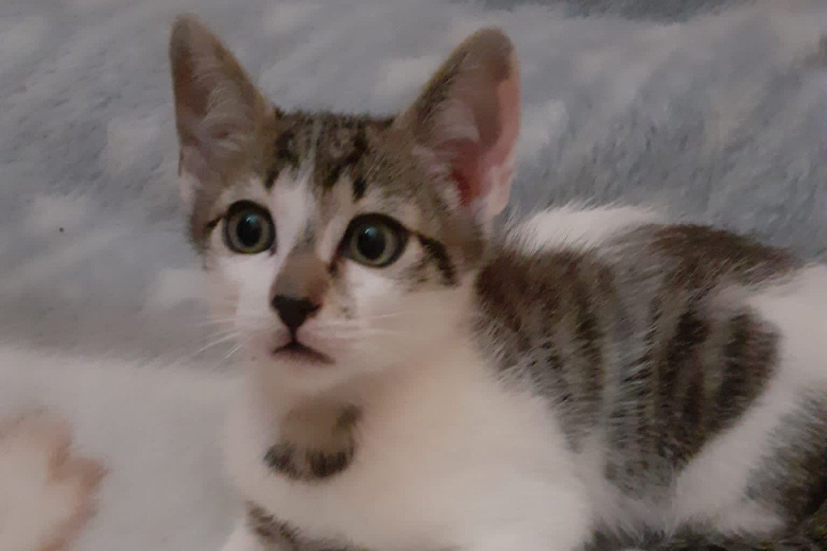 Dexter