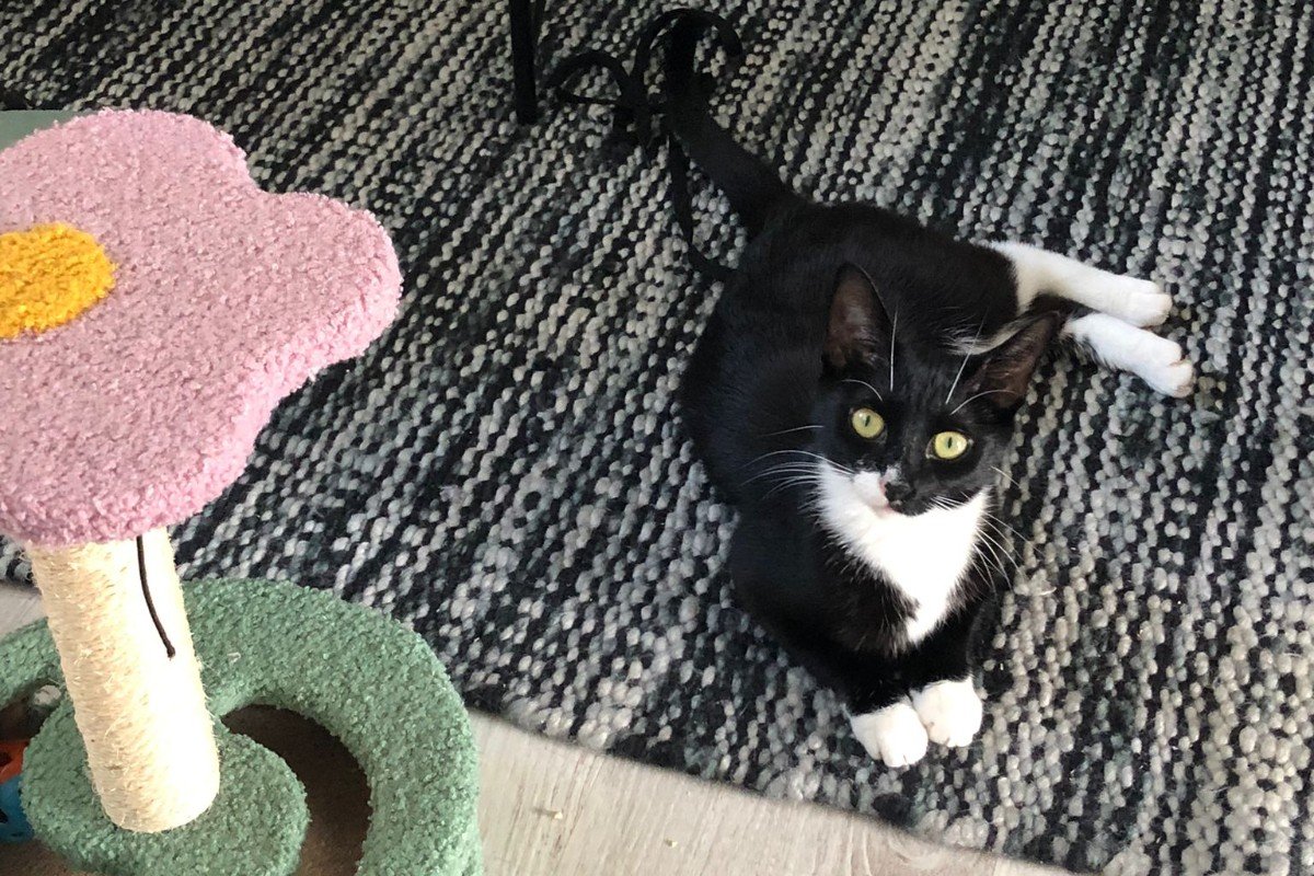 Tina