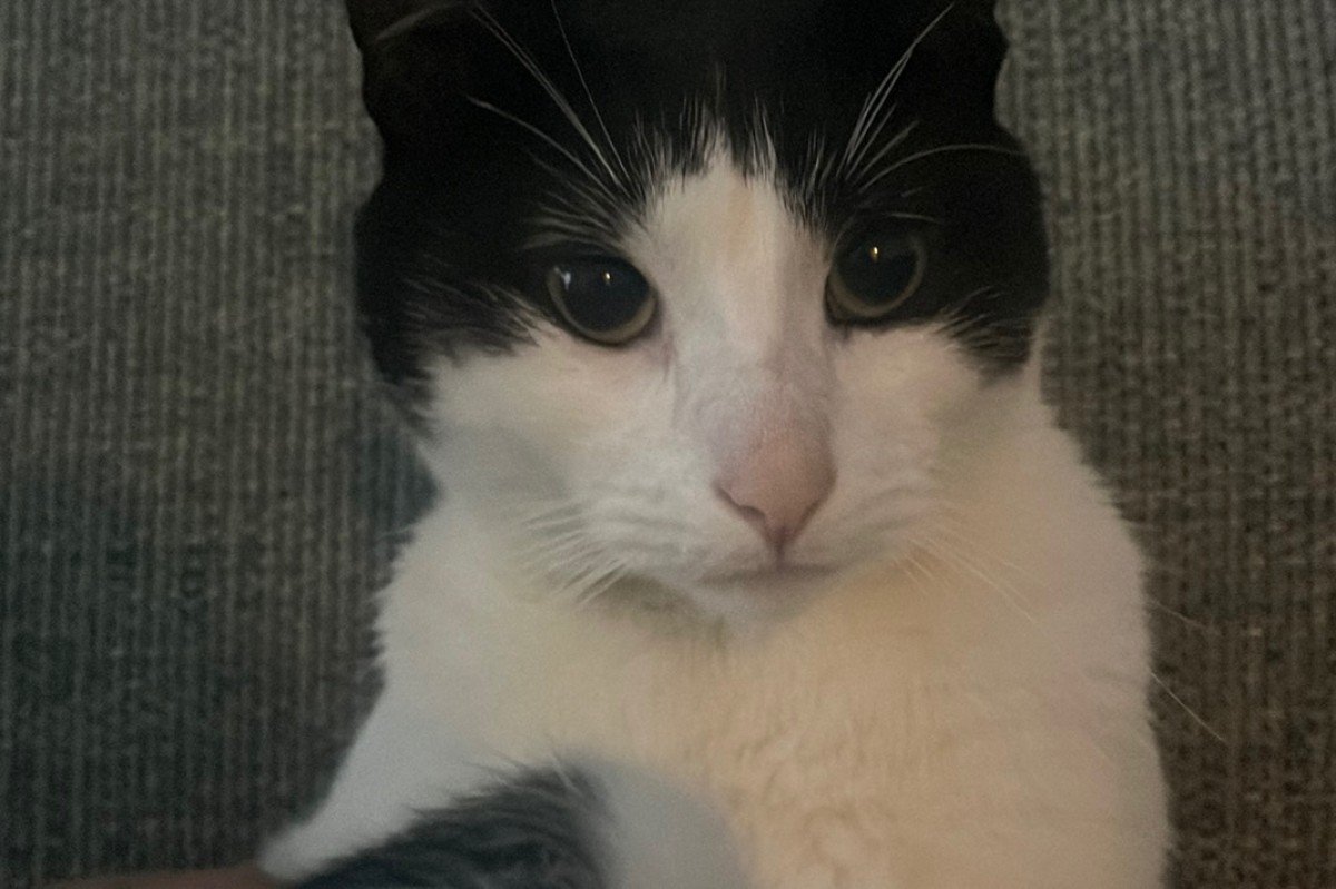 Zeytin