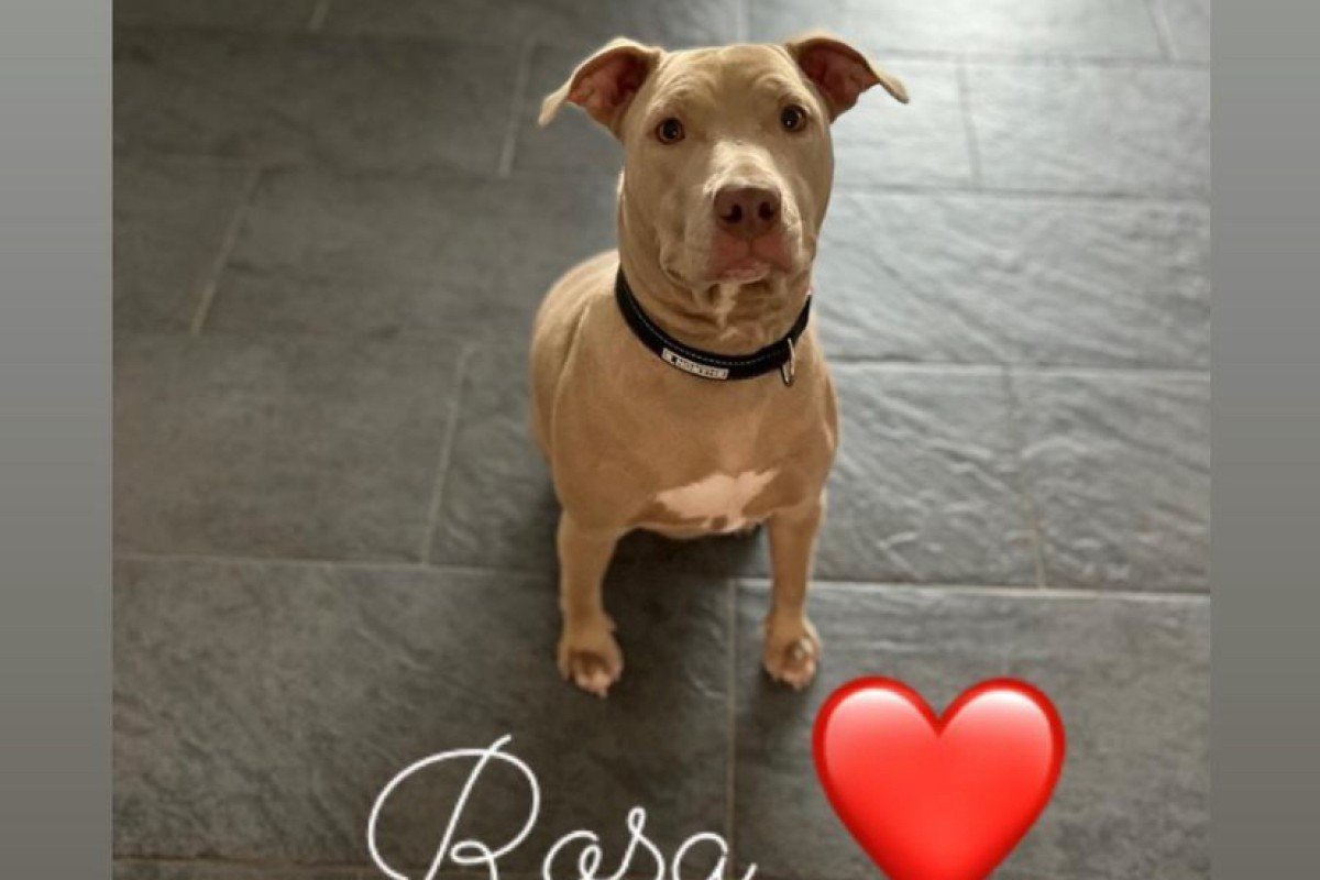 Rosa
