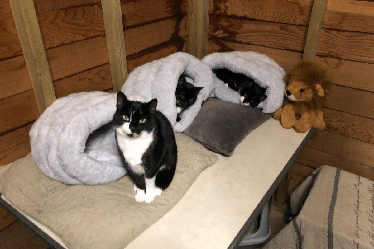 Pathos