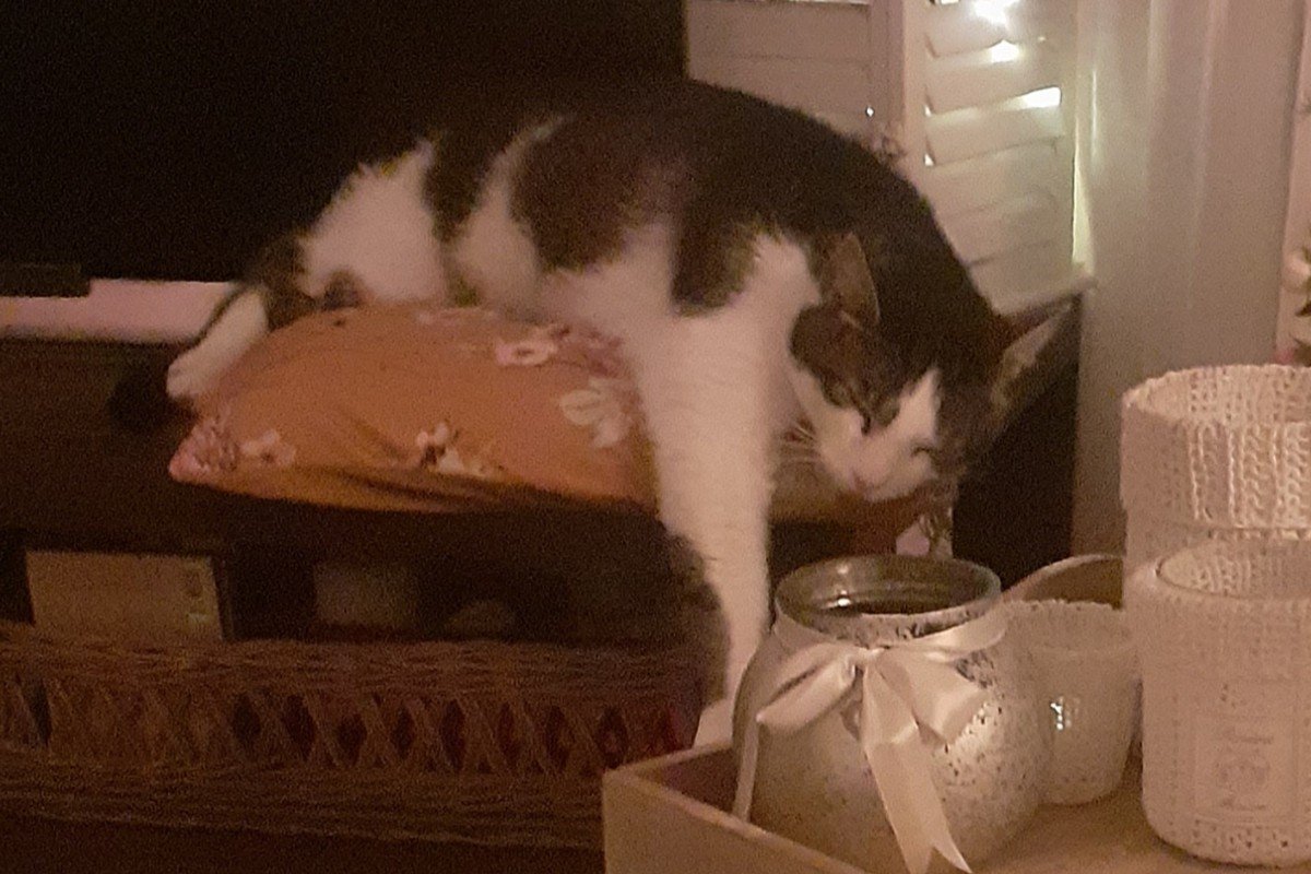 Max