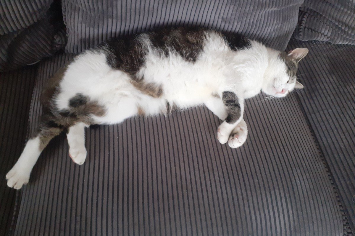 Max