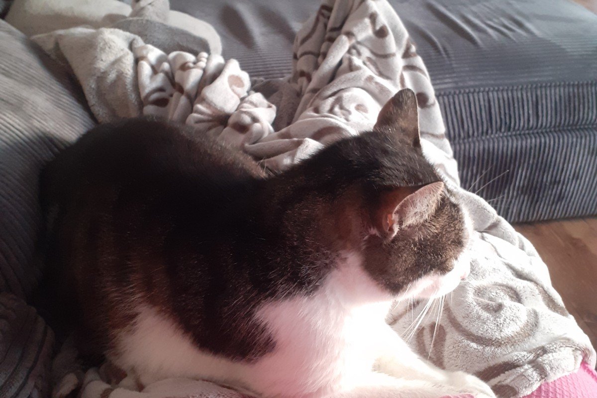 Max