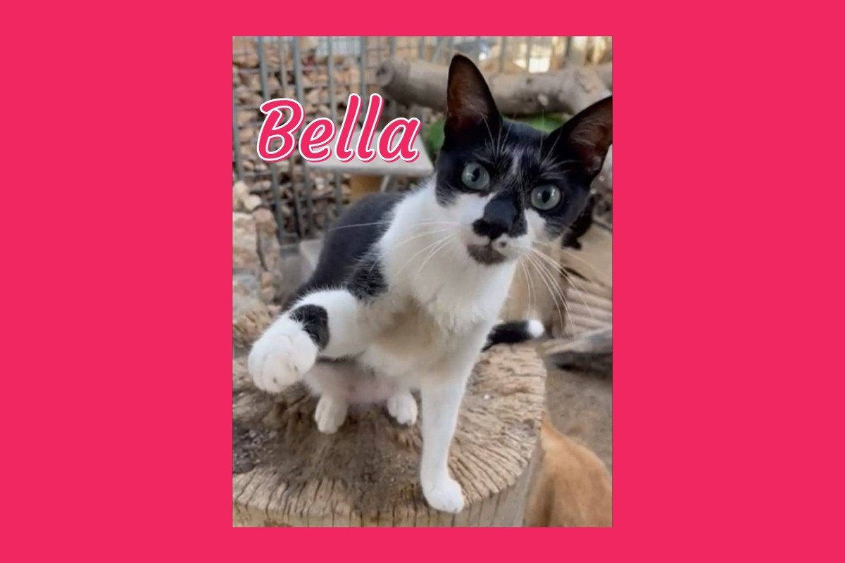 Bella