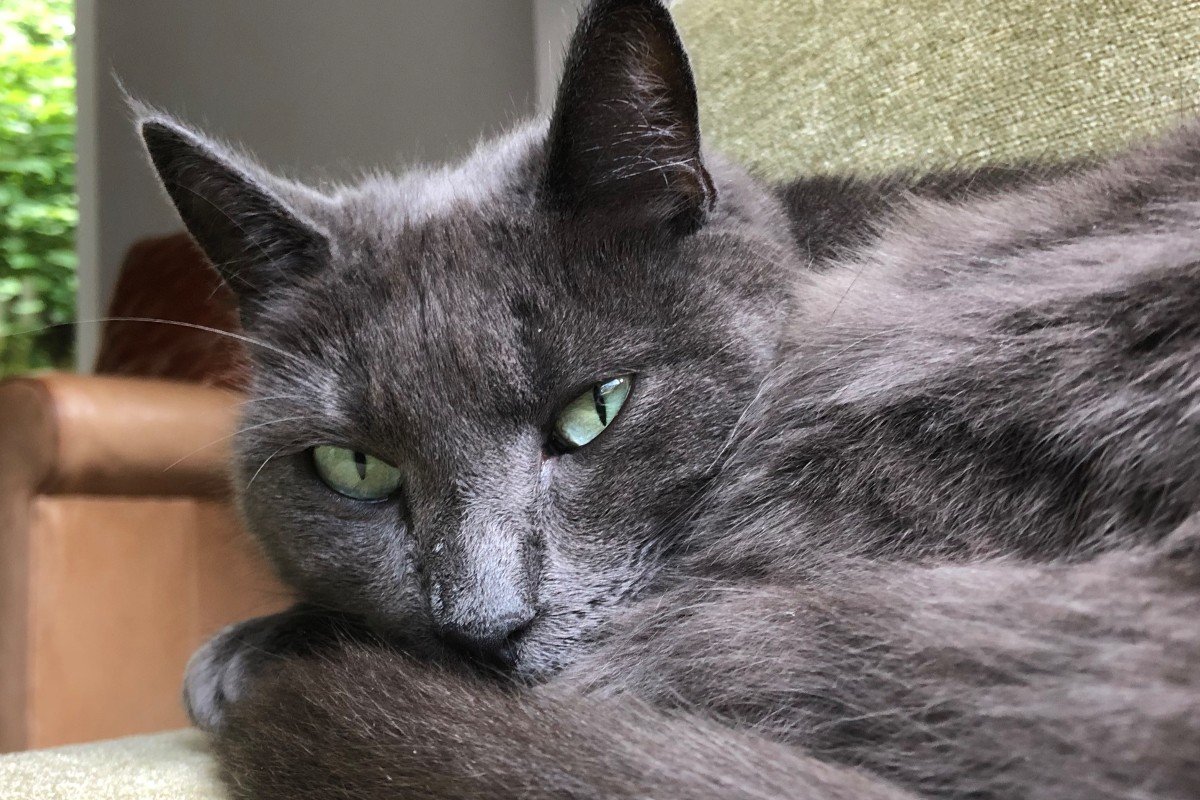 Boris