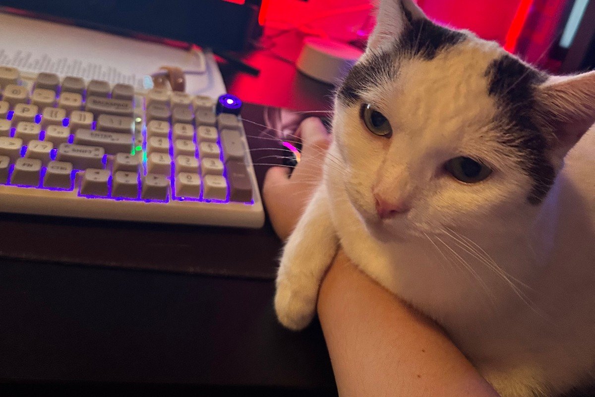 Pepper