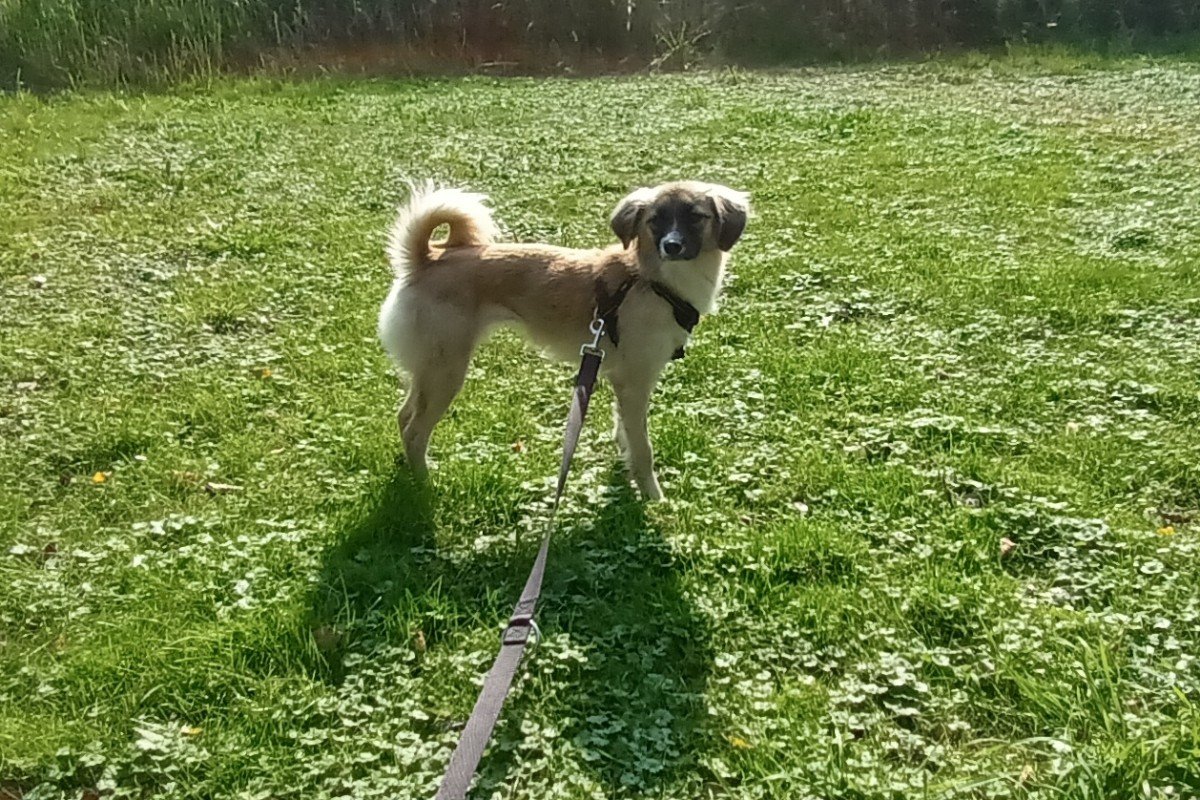 Nina