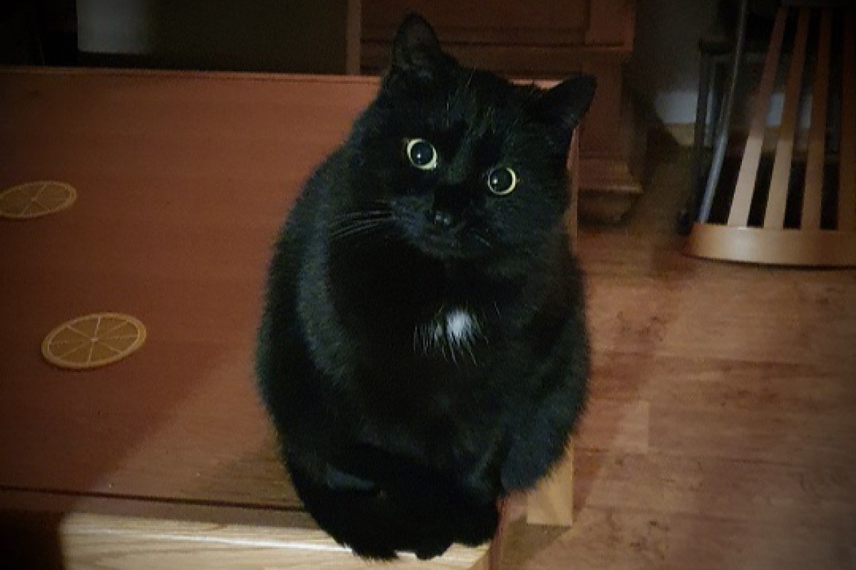 Onyx