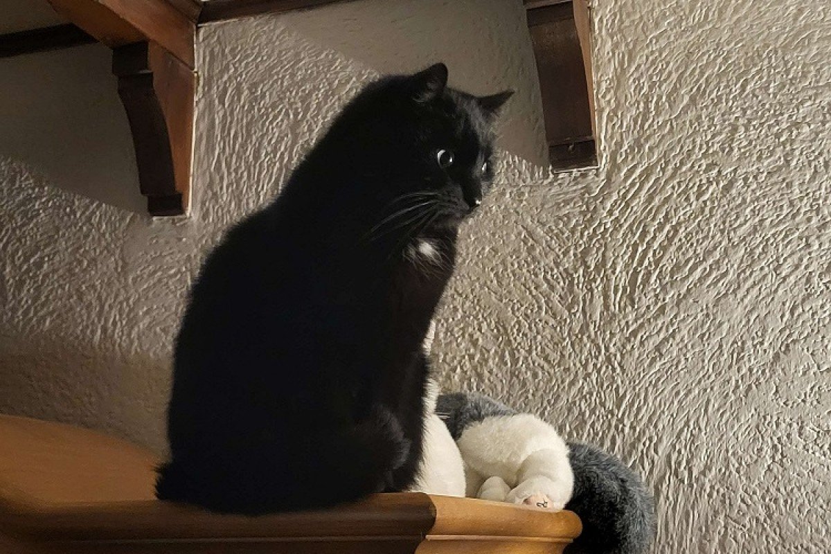 Onyx