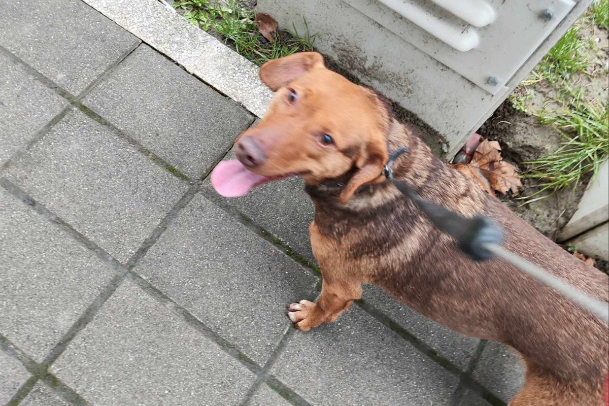 Zita