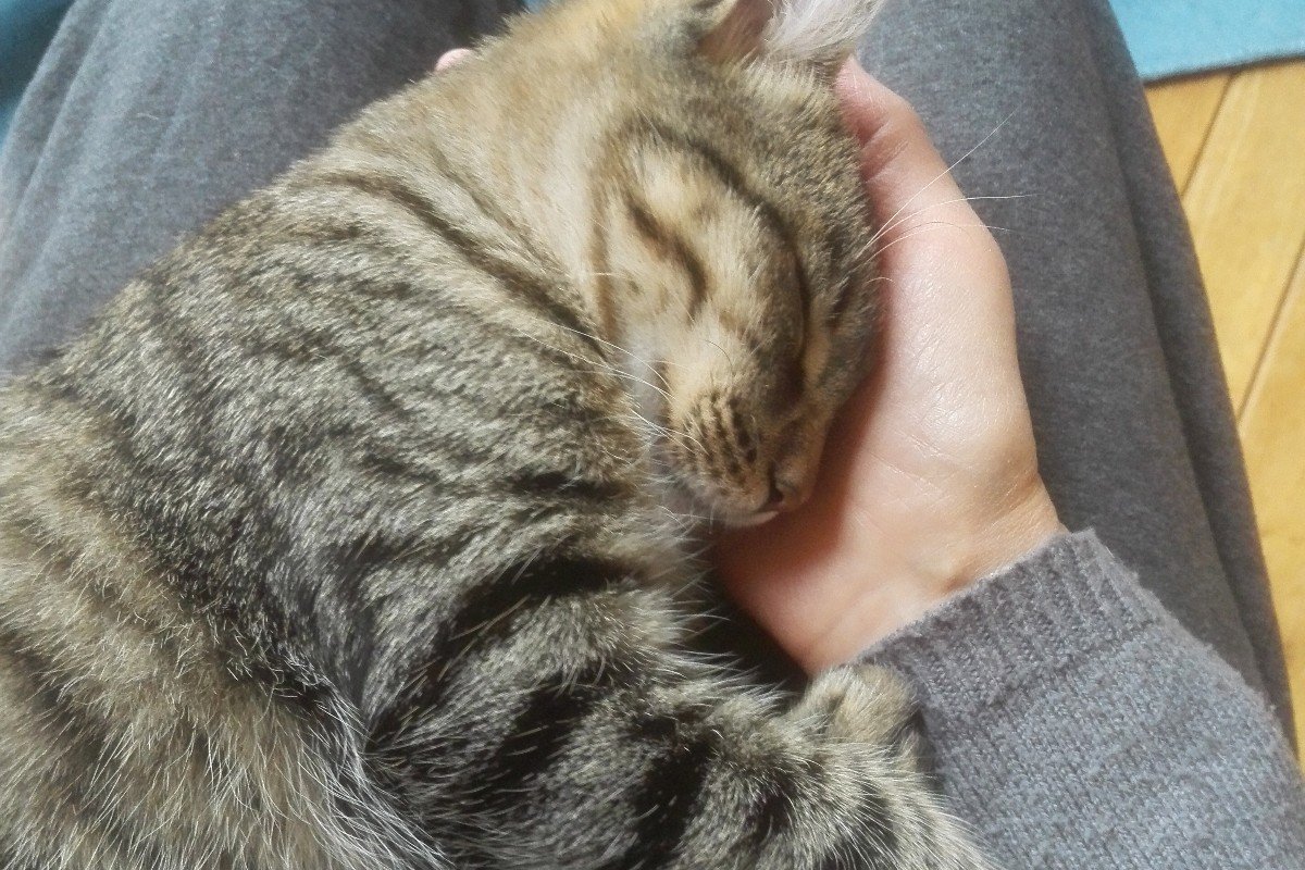 Diego