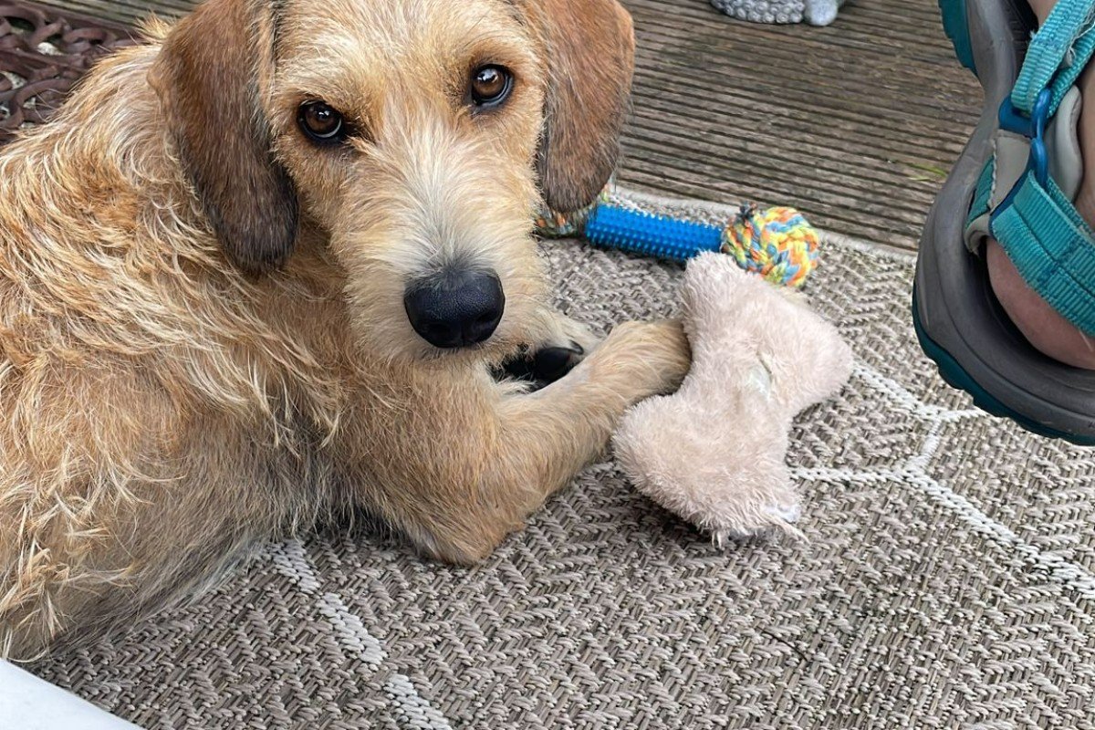 Charlie